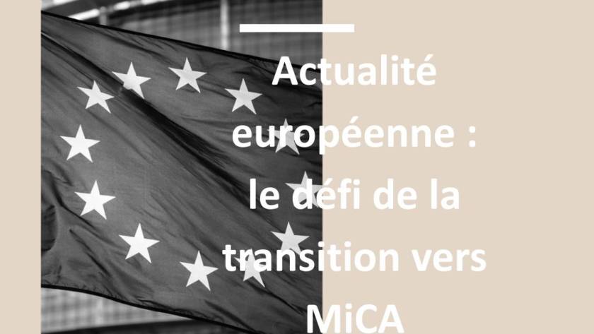 Drapeau européen en noir et blanc devant le Parlement européen – transition vers le règlement MiCA